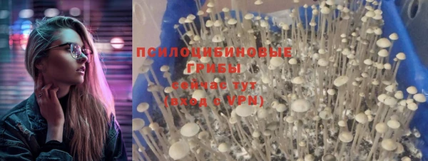 бутик Бородино